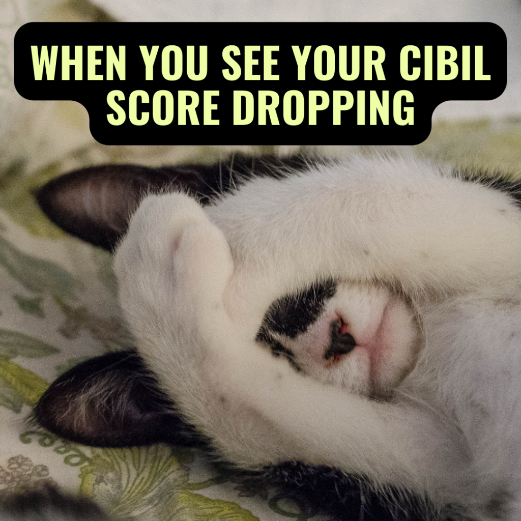 CIBIL score memes